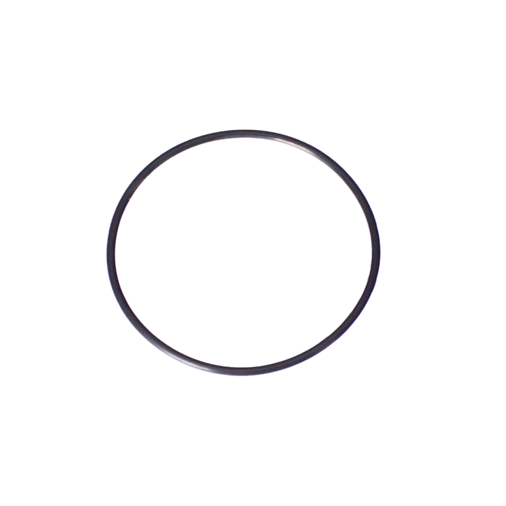Polaris O-Ring Kit, Back-Up Valve For | G58