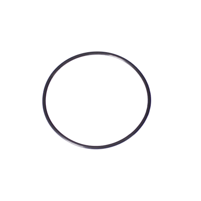 Polaris O-Ring Kit, Back-Up Valve For | G58