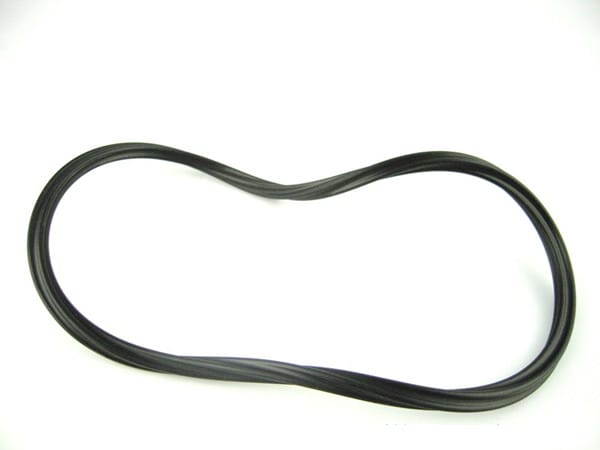 Paramount O-Ring F/Canister | 005152012000