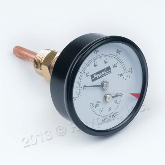 Raypak Temp & Pressuregauge 0-200 | 007399F