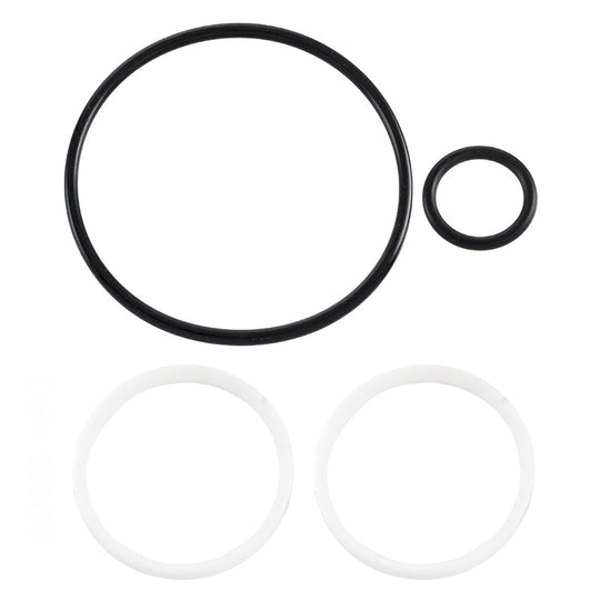 Hayward O-Ring & Ball Seal Kit - SPX0724GA