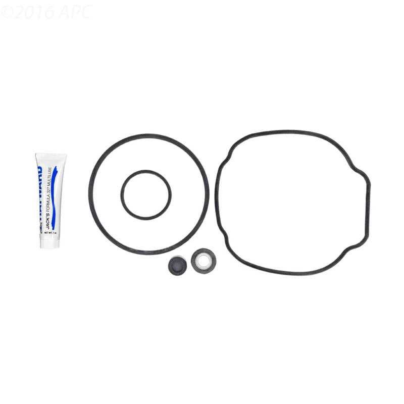 Hayward Ecostar Tristar Pump Seal Kit SPXHKIT100
