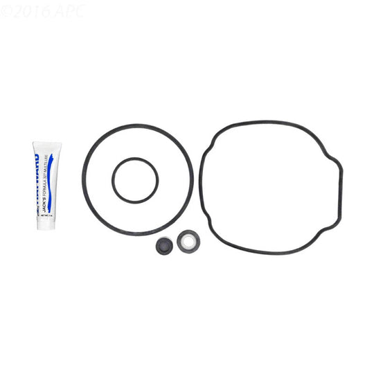 Hayward Ecostar Tristar Pump Seal Kit SPXHKIT100