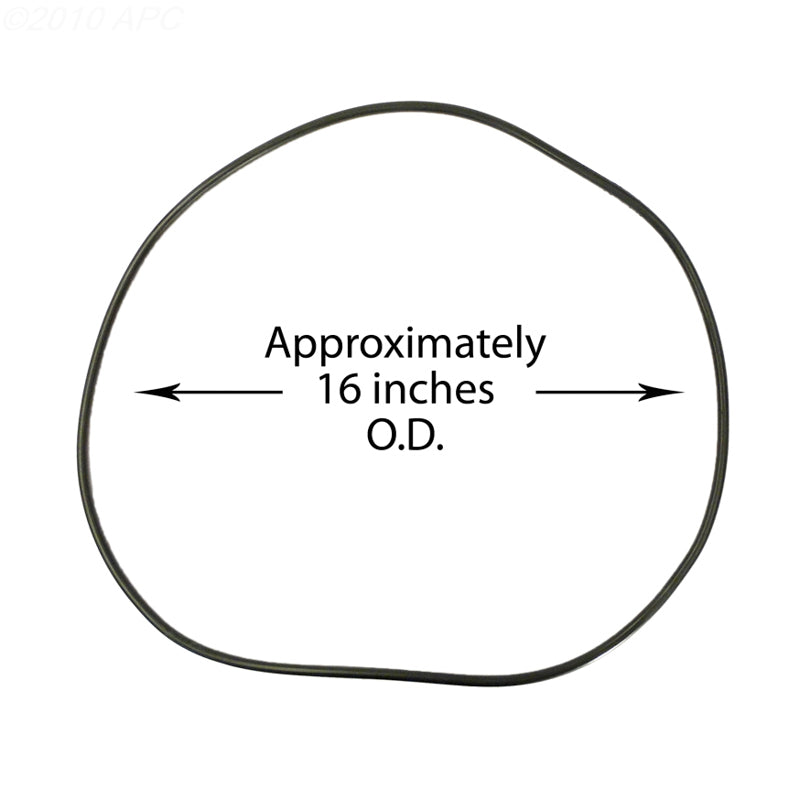 Waterway Lid O-Ring CLEARWATER2 Bag - 805-0460B