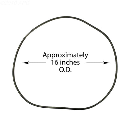 Waterway Lid O-Ring CLEARWATER2 Bag - 805-0460B