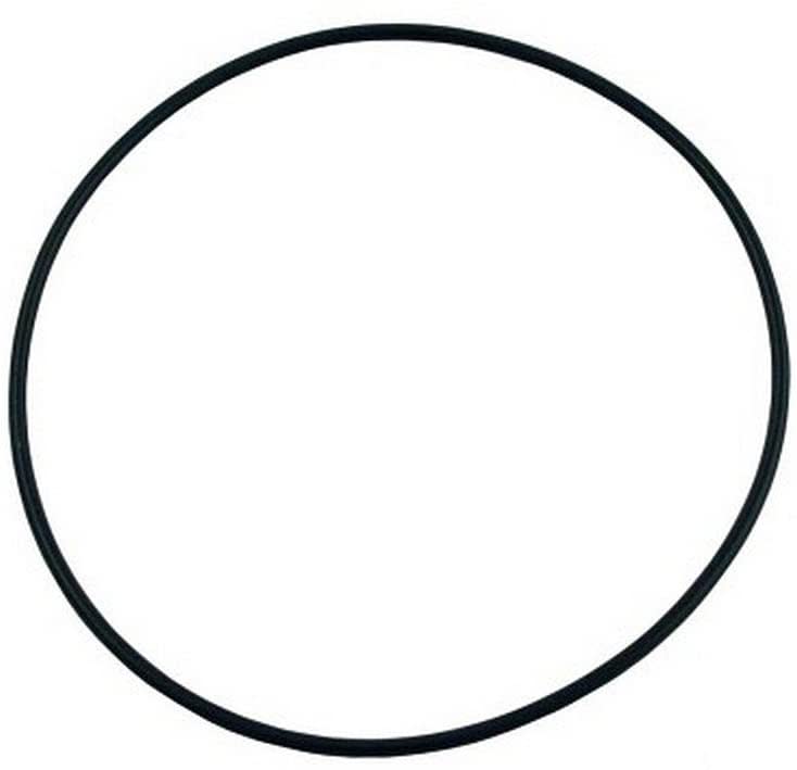 Waterway O-Ring For Hi-Flo Pump | 805-0256