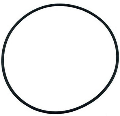 Waterway O-Ring For Hi-Flo Pump | 805-0256