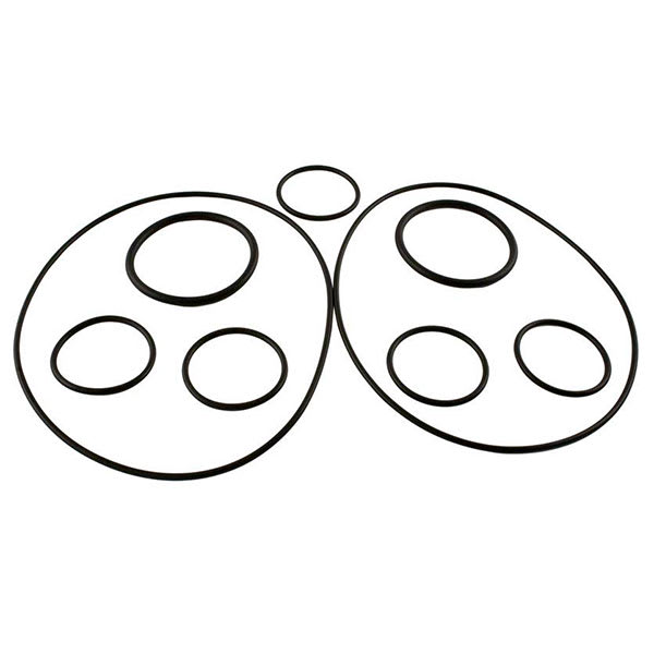 Zodiac Caretaker O-Ring Kit | 5-13-1