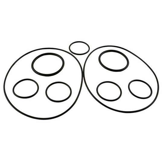 Zodiac Caretaker O-Ring Kit | 5-13-1